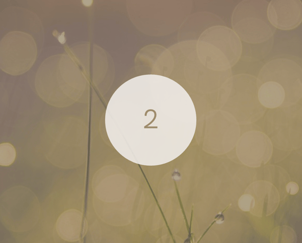 Insidesource Showrooms